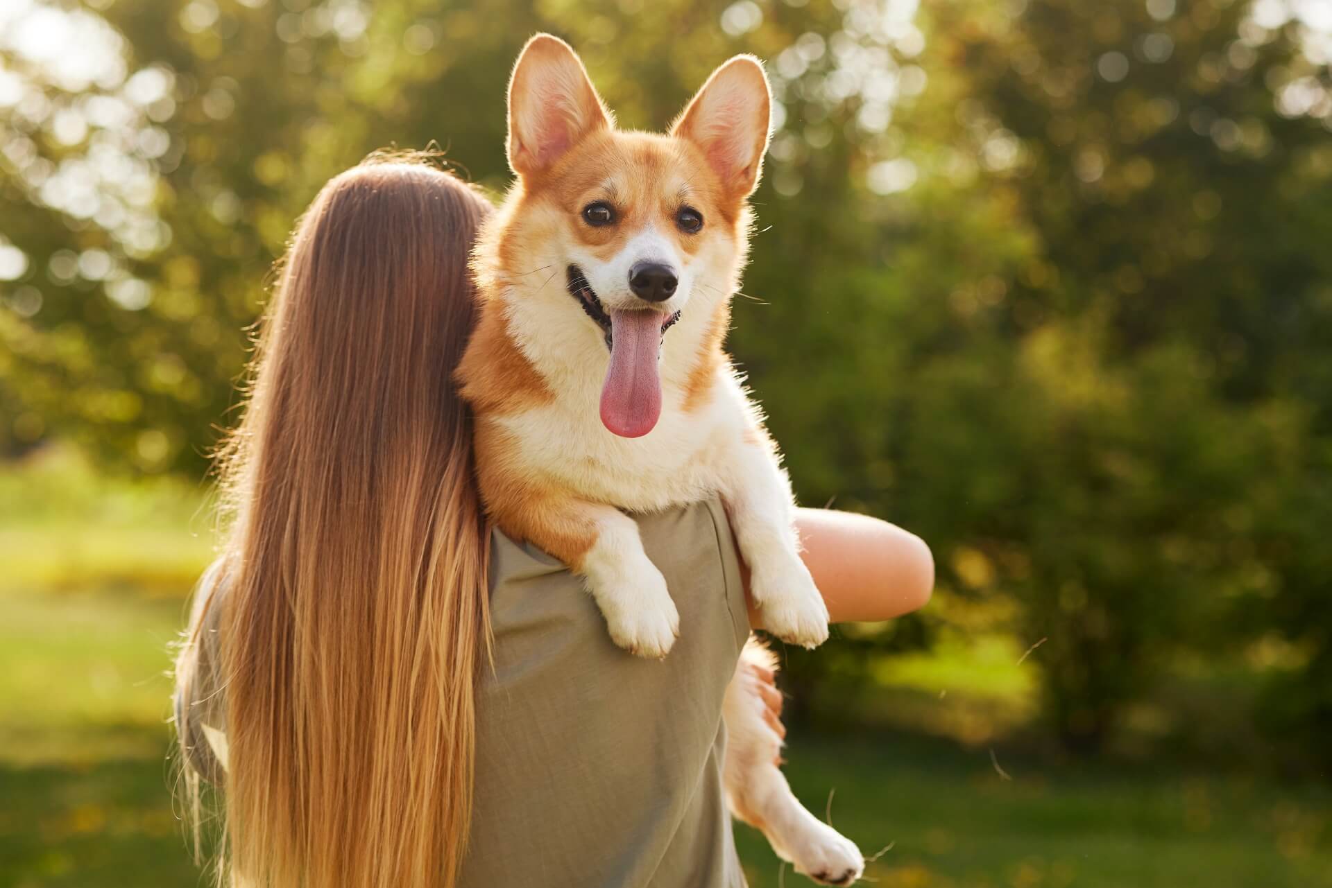 Де мій собака може заразитися глистами?